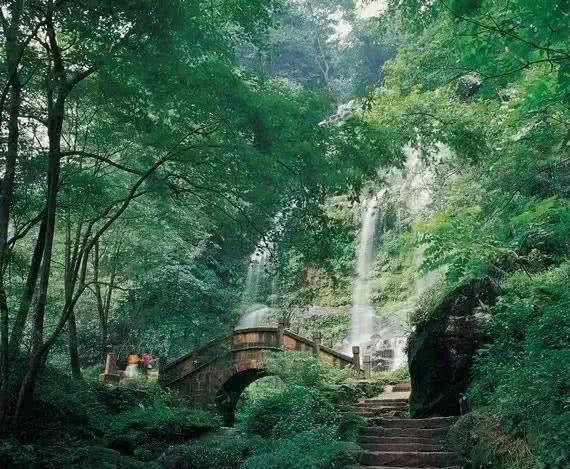 王傲世的梦